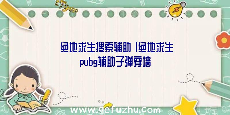 「绝地求生搜索辅助」|绝地求生pubg辅助子弹穿墙